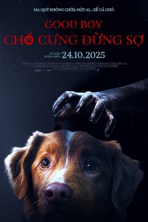 Chó Cưng Đừng Sợ Chó Cưng Đừng Sợ