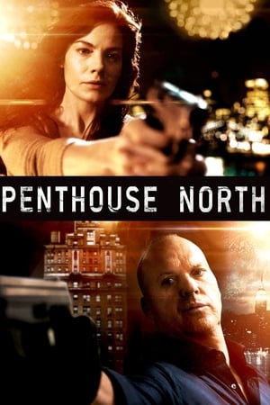 Hướng bắc tầng thượng - Penthouse north