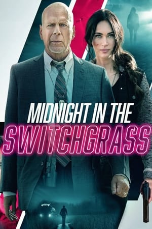 Nửa đêm trong bụi cỏ - Midnight in the switchgrass