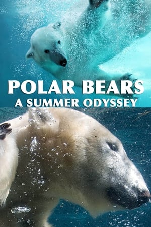 Gấu Bắc Cực - Polar Bears: A Summer Odyssey