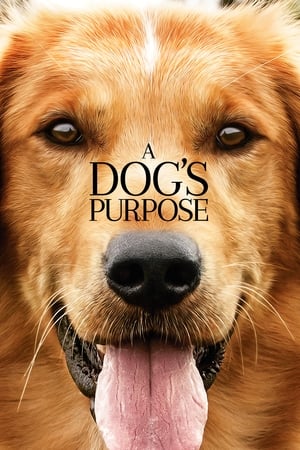 Mục đích sống của một chú chó - A dog's purpose