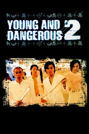 Người trong giang hồ 2: mãnh long quá giang - Young and dangerous 2
