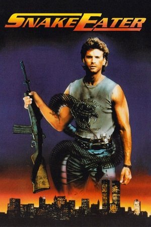 Truy Tìm Kẻ ThùHình bìa