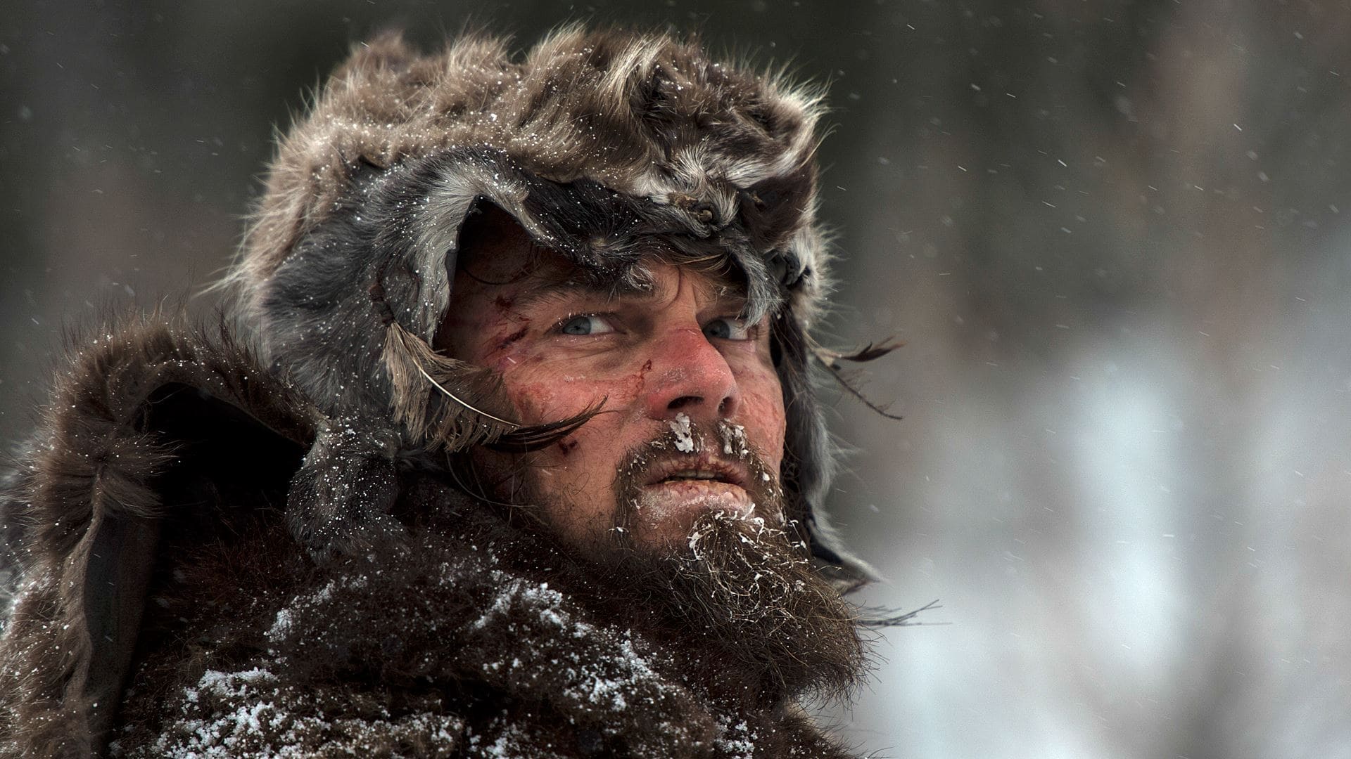 Xem Phim Người Về Từ Cõi Chết - The Revenant 2015