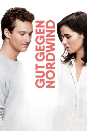 Thư Tình Qua Mạng – Gut Gegen Nordwind/The Space Between The Lines