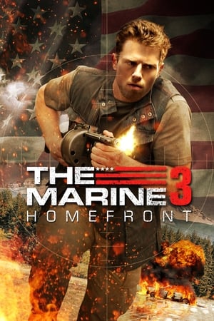 Lính Thủy Đánh Bộ 3 - The Marine 3: Homefront