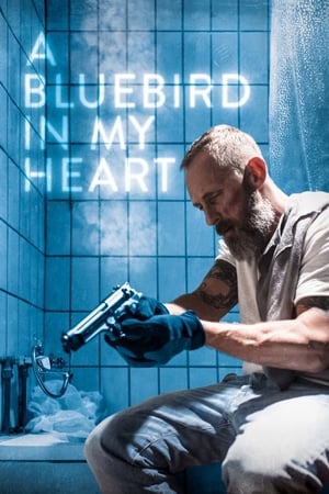 Quy ẩn - A bluebird in my heart
