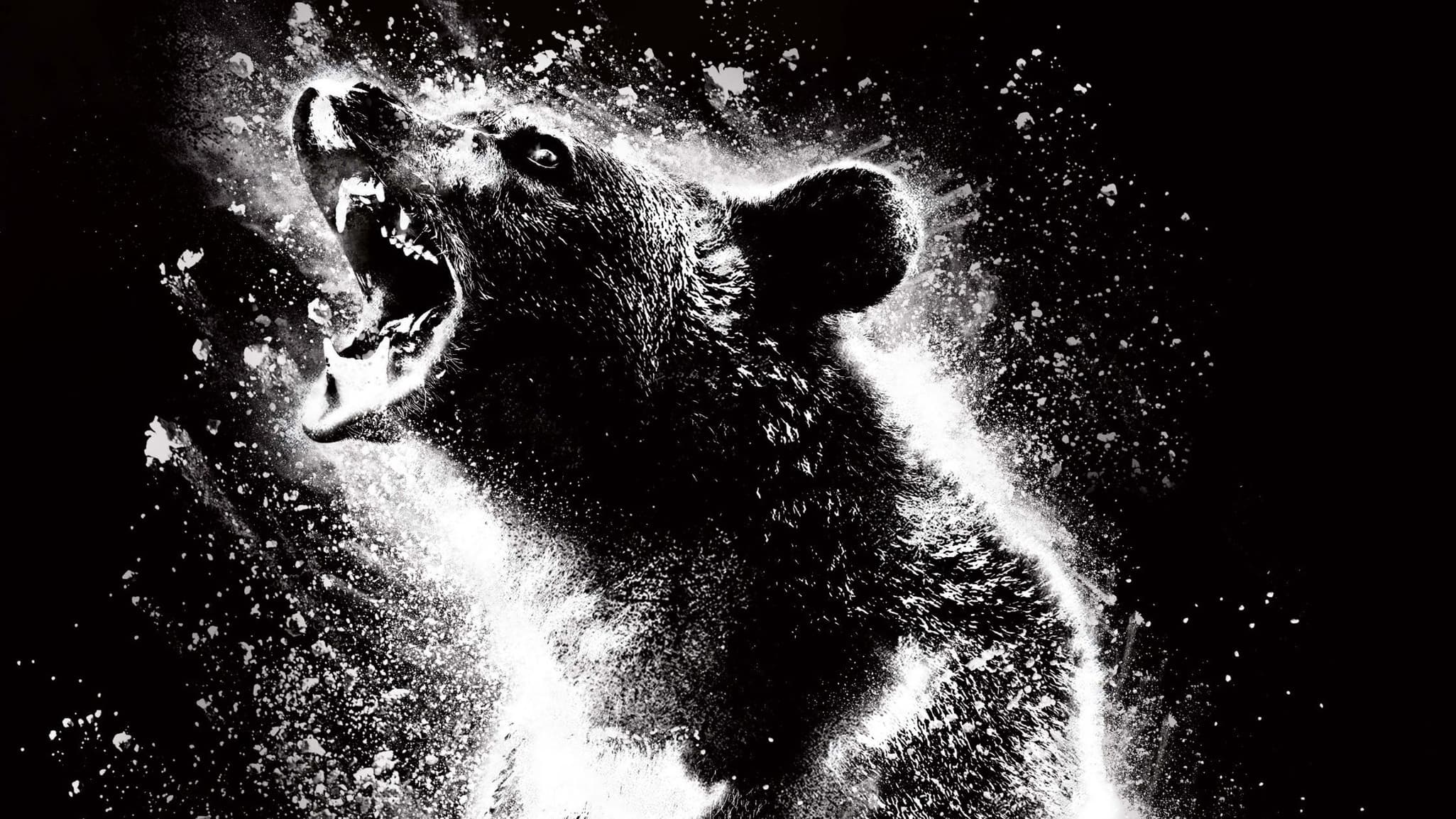 Gấu phê pha - Cocaine bear