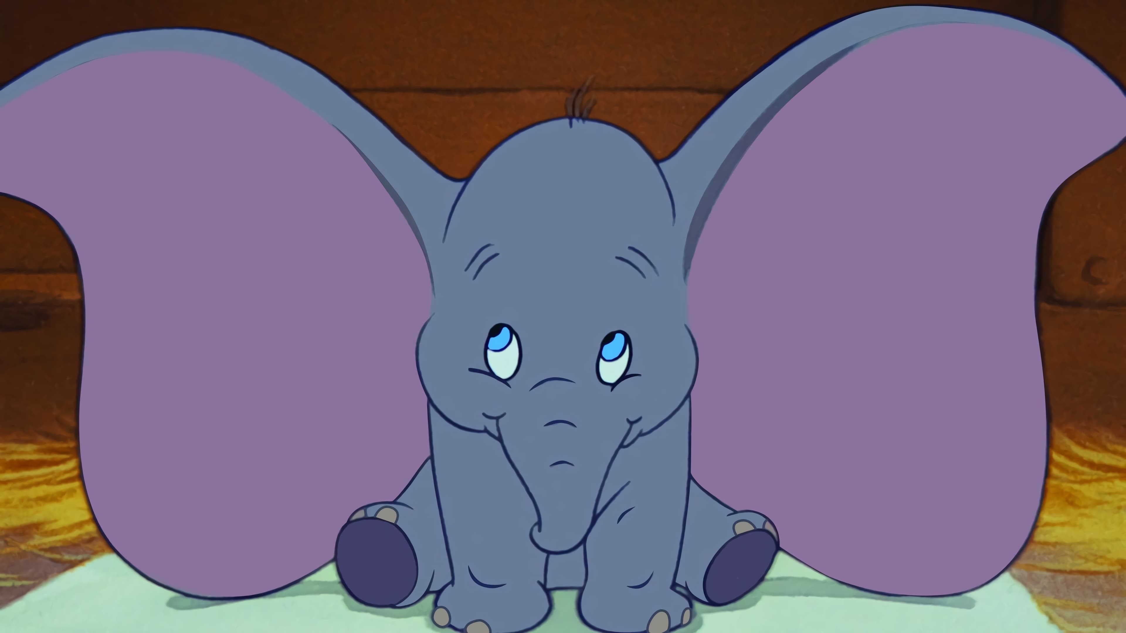 Chú voi biết bay - Dumbo