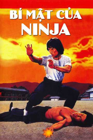 Bí mật của ninja - Ninja knight 2: roaring tiger
