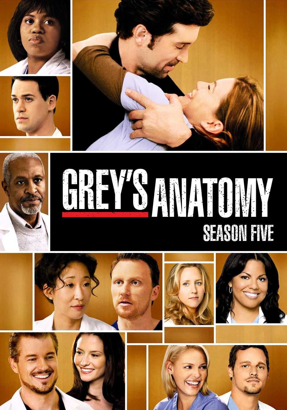 Ca phẫu thuật của grey (phần 5)-tạm ngưng - Grey's anatomy (season 5)-tạm ngưng