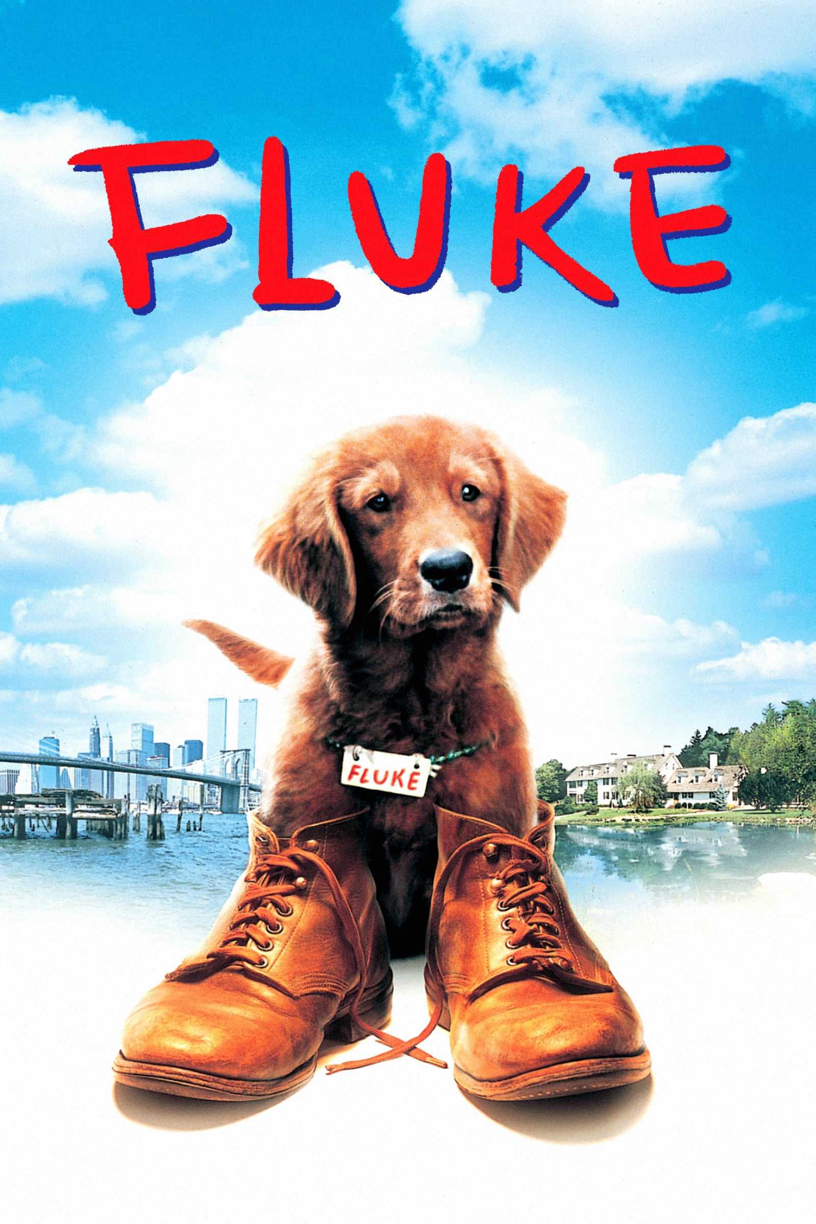 Chú chó fluke - Fluke