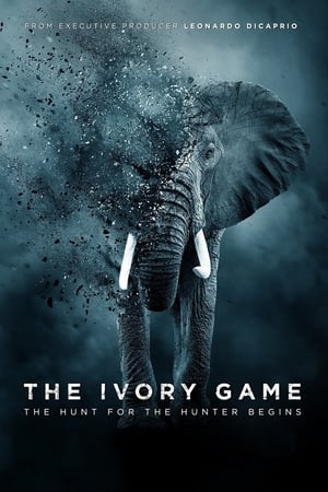 Kẻ trộm ngà voi - The ivory game