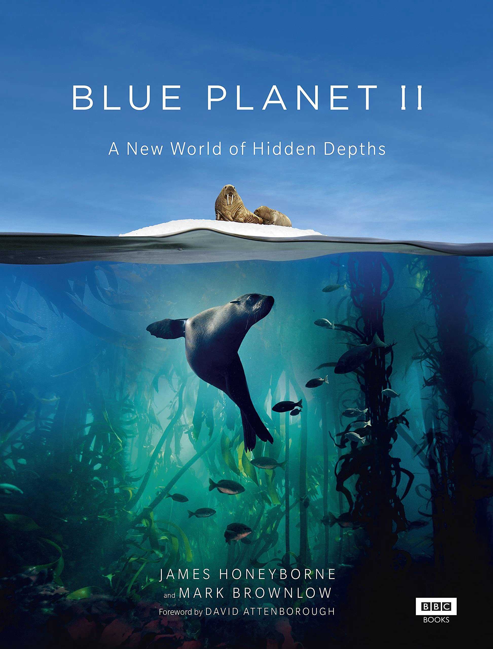 Đại Dương Sâu Thẳm 2 - The Blue Planet 2