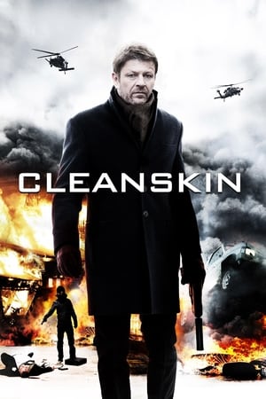 Vỏ bọc hoàn hảo (2012) - Cleanskin ( new )