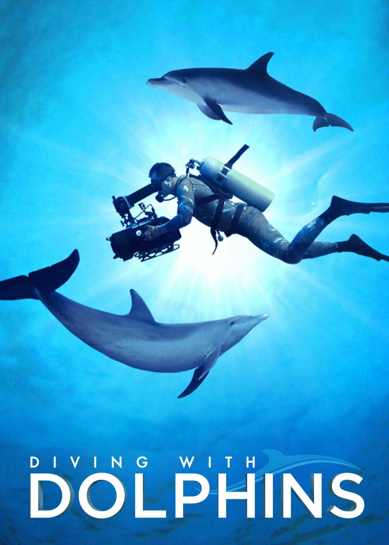 Diving with dolphins - Diving with dolphins
