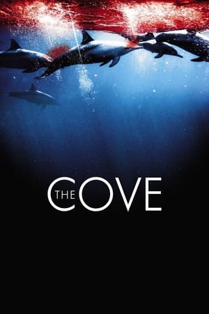 Nạn săn cá heo - The cove