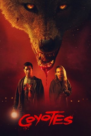 Bầy Sói Hoang - Coyotes
