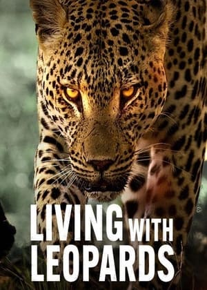 Sống Cùng Báo Hoa - Living with Leopards