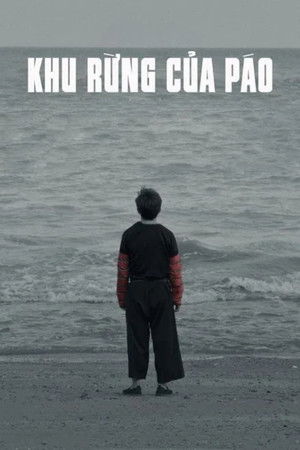 Khu rừng của Páo - Pao's Forest