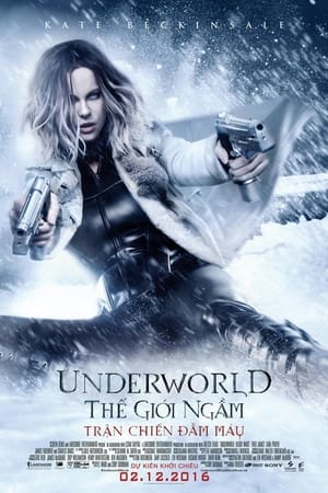 Thế Giới Ngầm 5: Trận Chiến Đẫm Máu - Underworld: Blood Wars