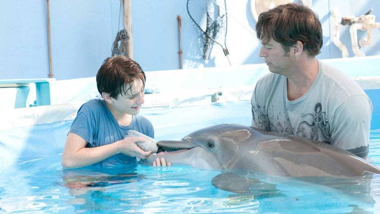 Xem Phim Câu Chuyện Cá Heo - Dolphin Tale 2011