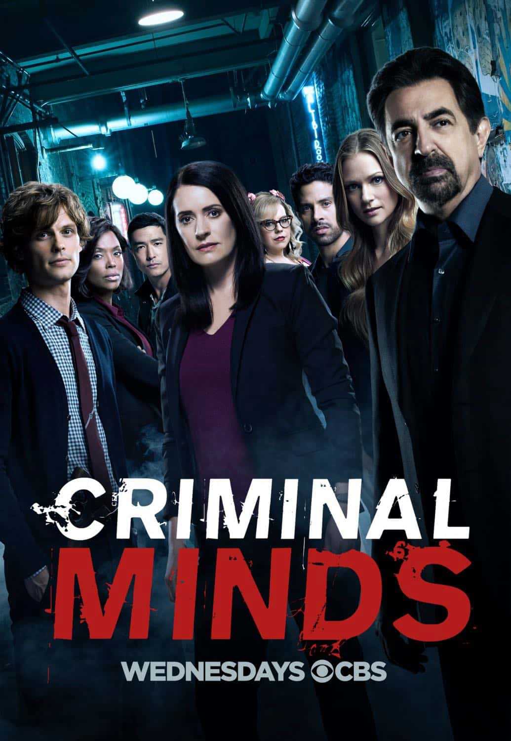 Hành vi phạm tội (phần 13) - Criminal minds (season 13)