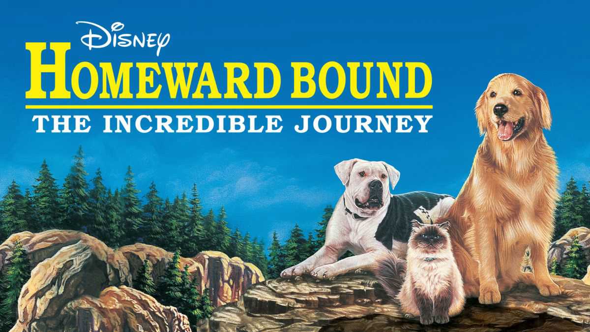 Xem Phim Homeward Bound: The Incredible Journey - Homeward Bound: The Incredible Journey 1992