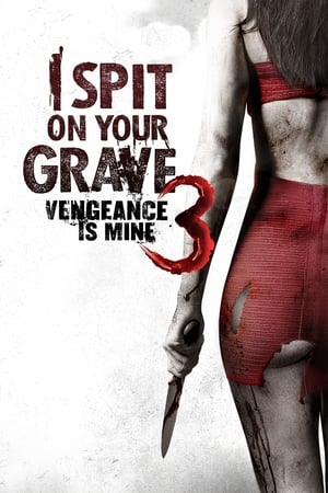 Cô Gái Báo Thù 3 - I Spit on Your Grave III: Vengeance Is Mine