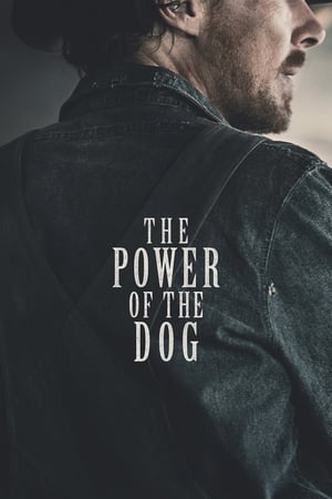 Sức mạnh của loài chó - The power of the dog