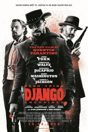 Hành trình django - Django unchained