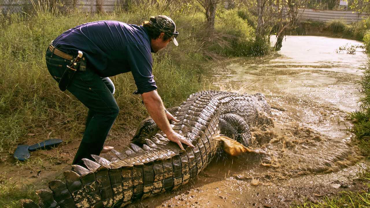 Xem Phim Lãnh địa cá sấu hoang - Wild Croc Territory 2021