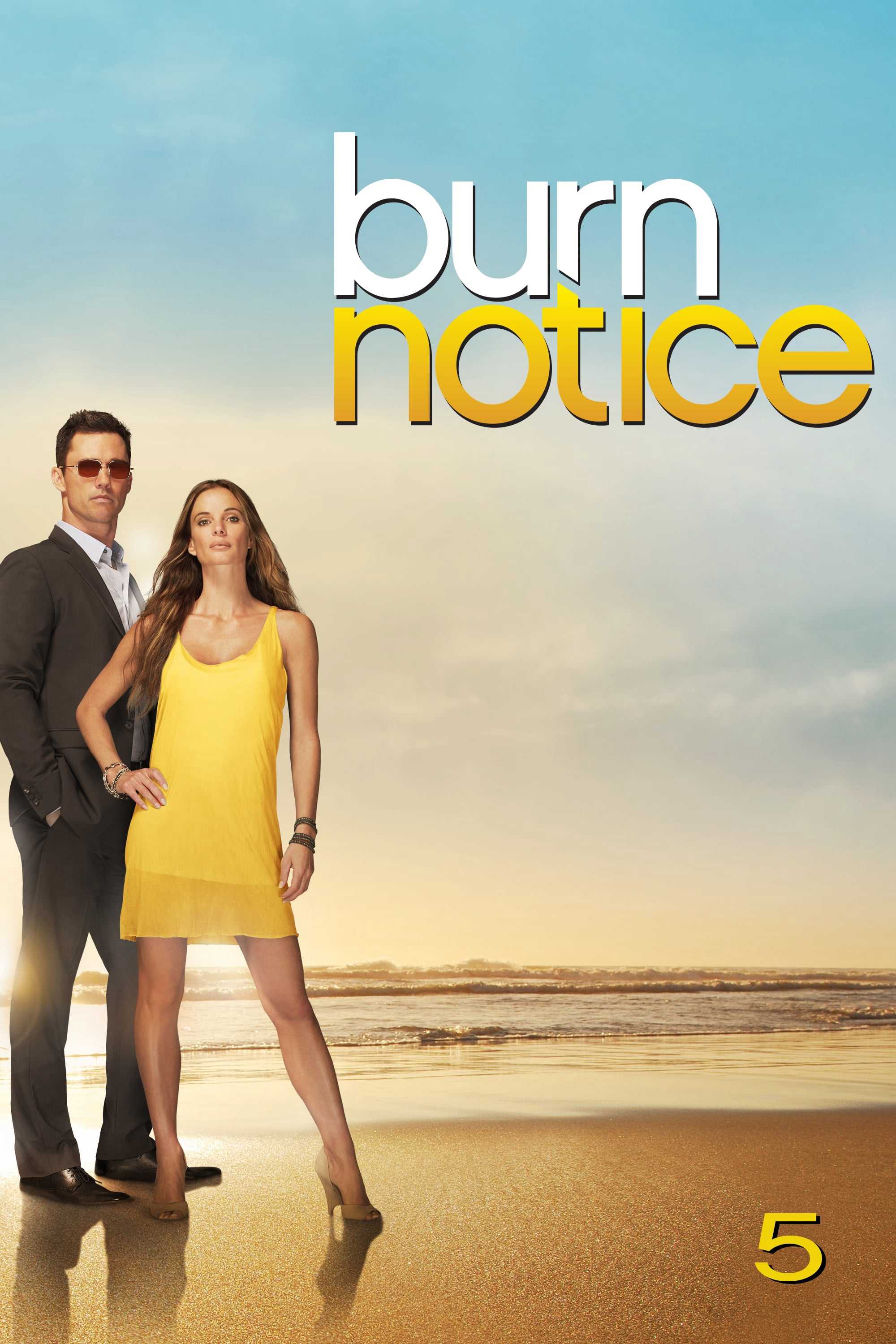 Lệnh thanh trừng (phần 5) - Burn notice (season 5)