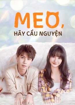  Meo, Hãy Cầu Nguyện 