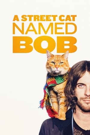 Chú mèo đường phố bob - A street cat named bob