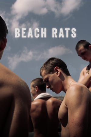 Chuột bãi biển - Beach Rats