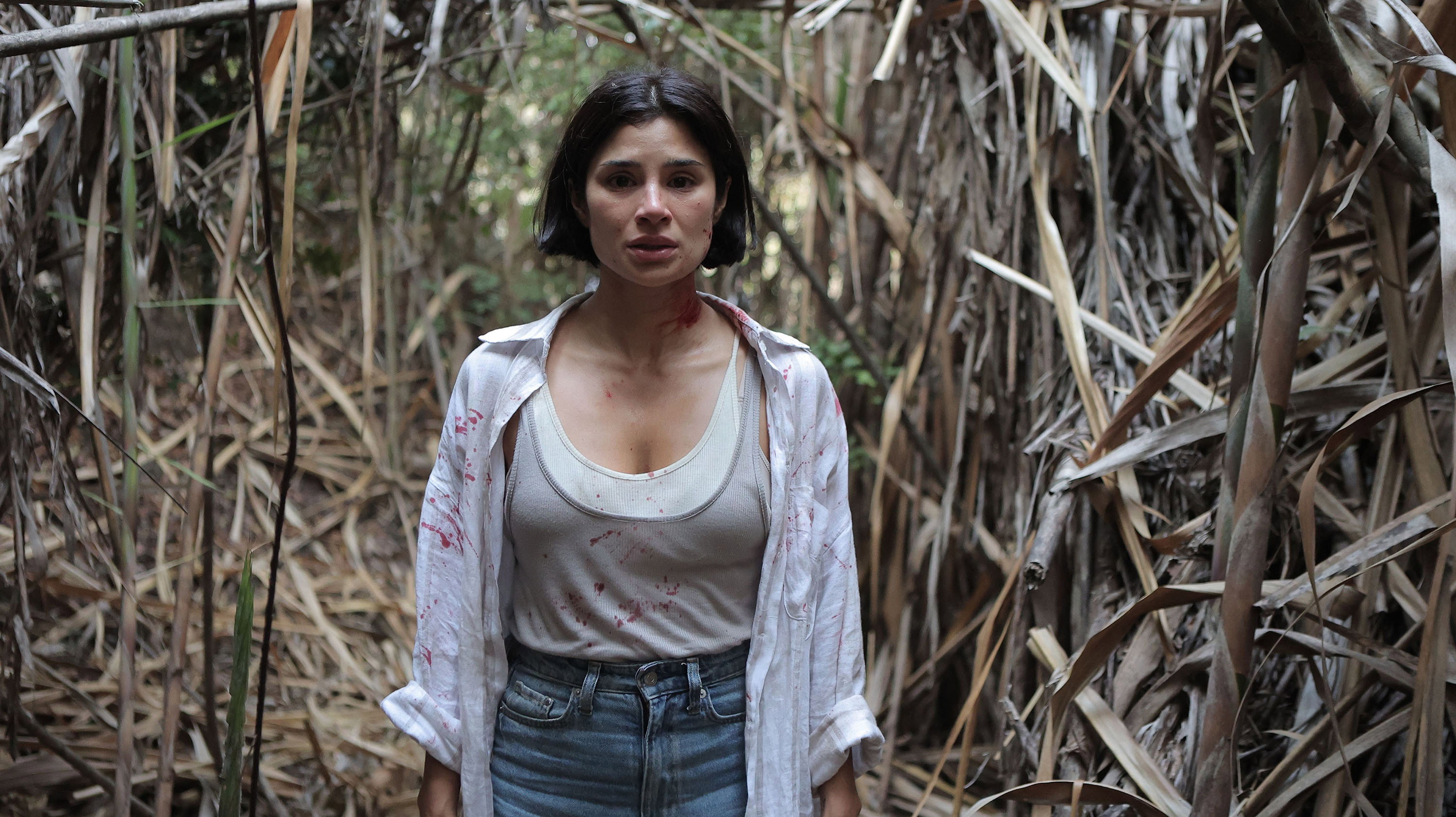 Ảnh phim Kẻ Huýt Sáo