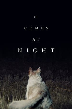 Màn đêm buông xuống - It comes at night