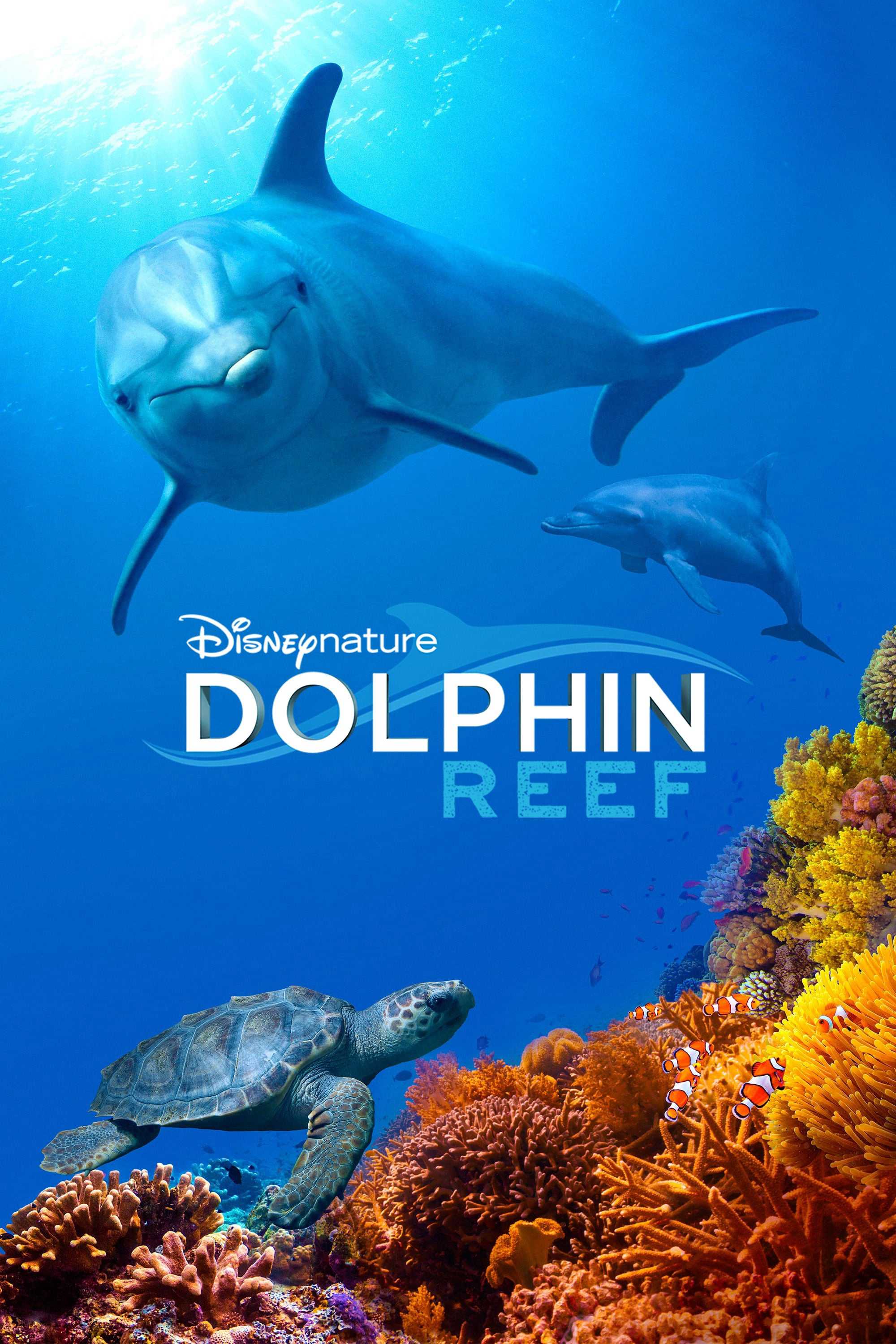 Rạn san hô cá heo - Dolphin reef