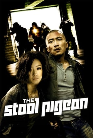 Người chỉ điểm - The stool pigeon