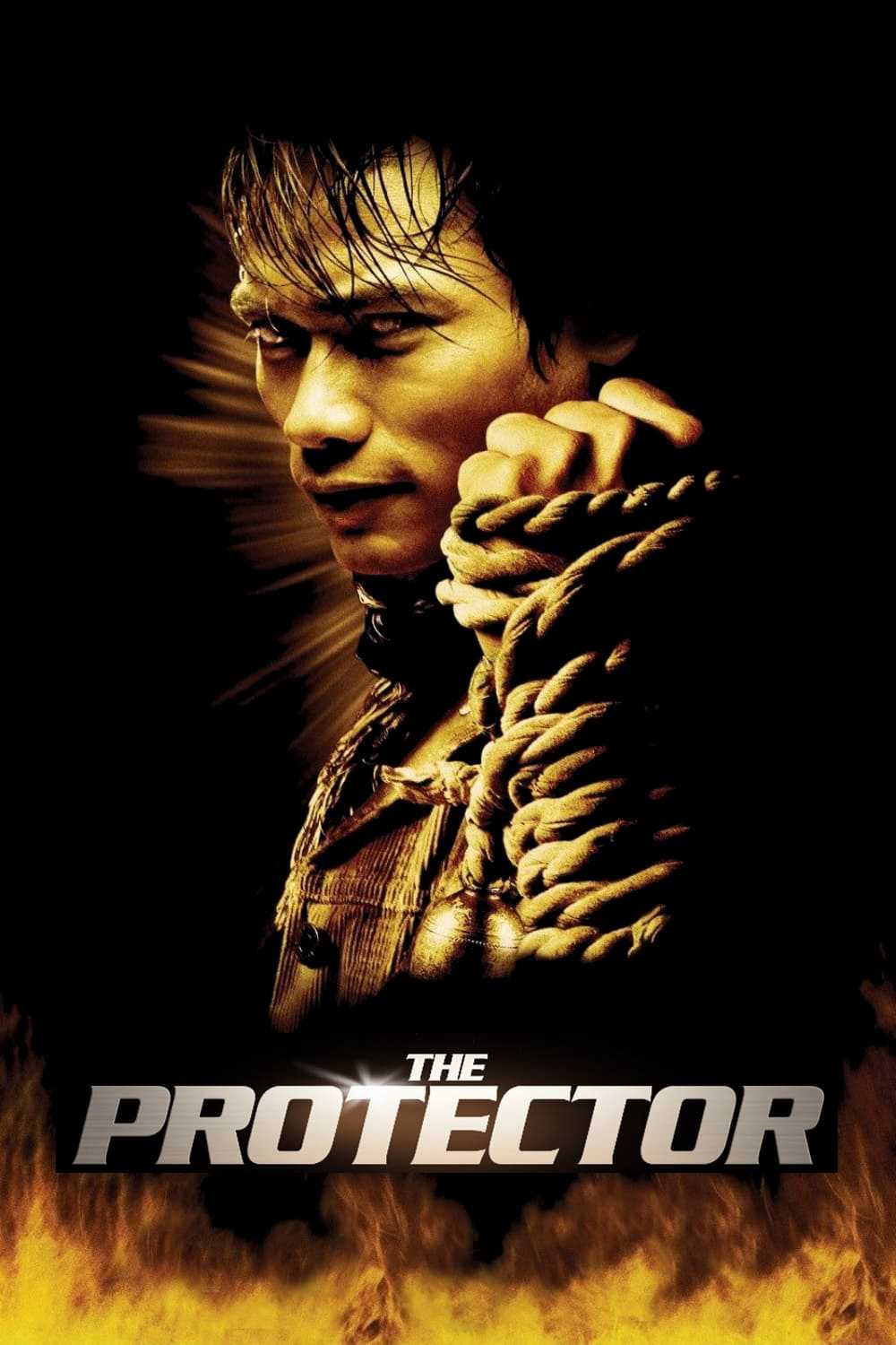 Hộ thần - The protector