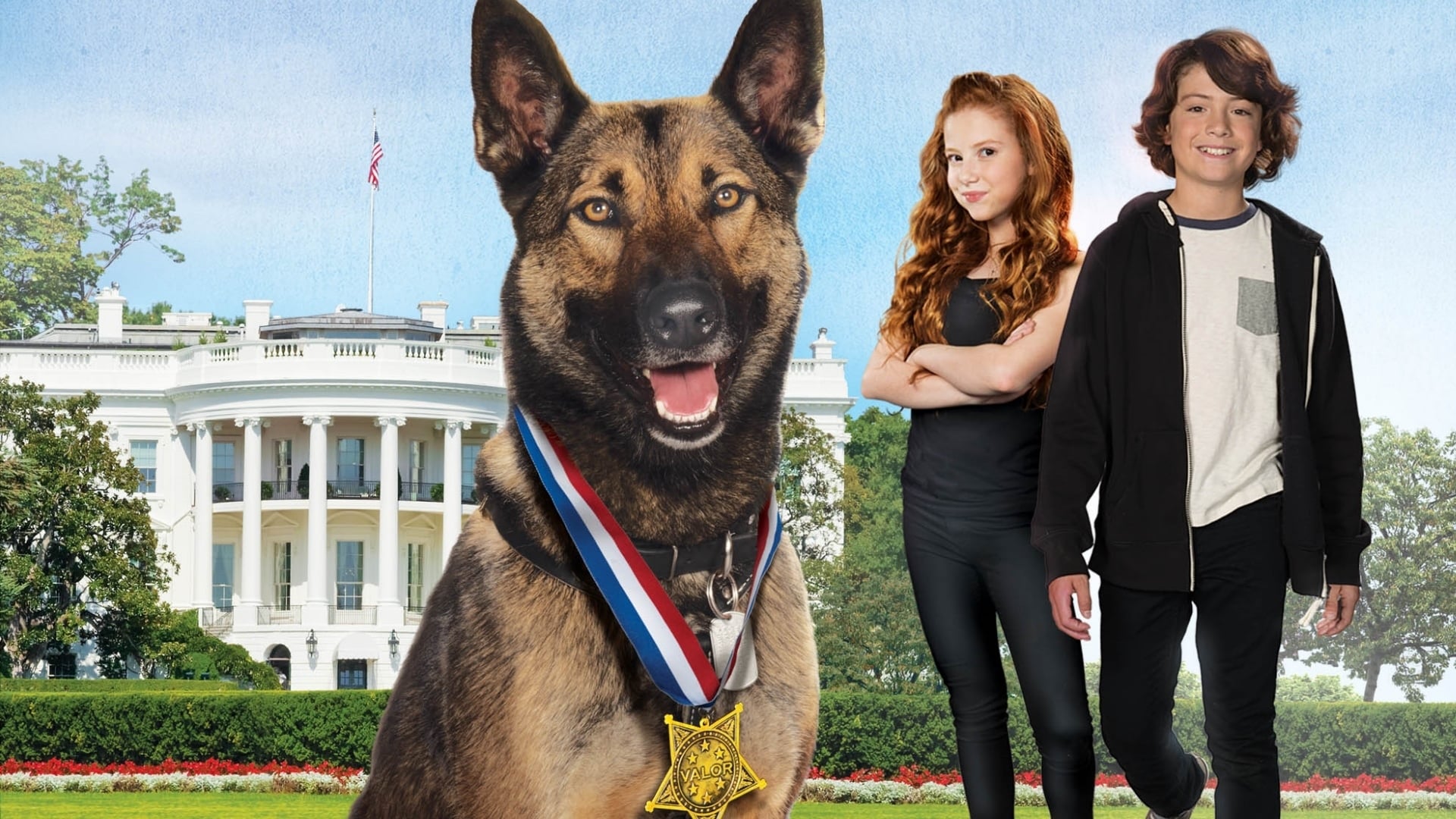 Chú chó max 2: cứu tinh nhà trắng - Max 2: white house hero
