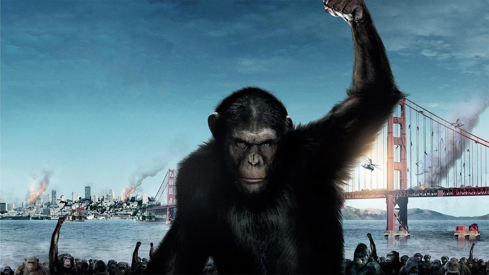 Sự nổi dậy của hành tinh khỉ - Rise of the planet of the apes