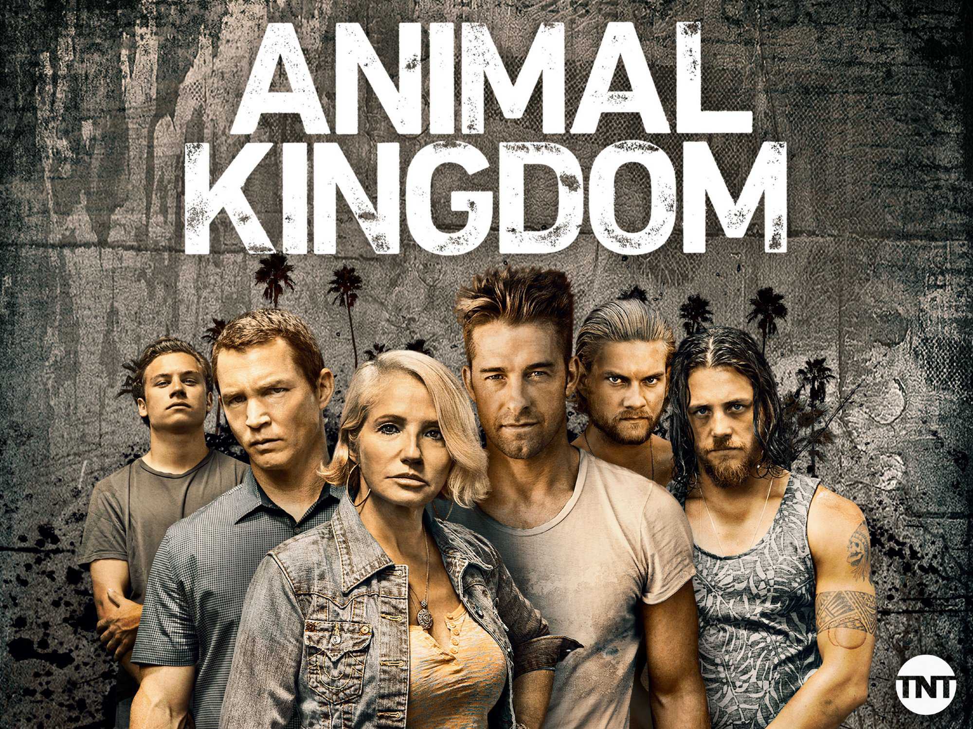 Xem Phim Vương quốc động vật (Phần 1) - Animal Kingdom (Season 1) 2015