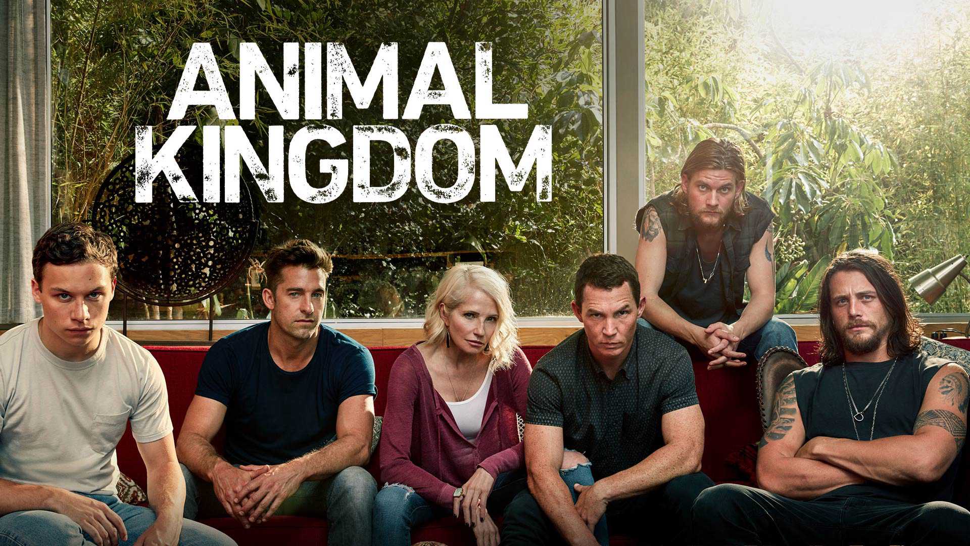 Xem Phim Vương quốc động vật (Phần 2) - Animal Kingdom (Season 2) 2016