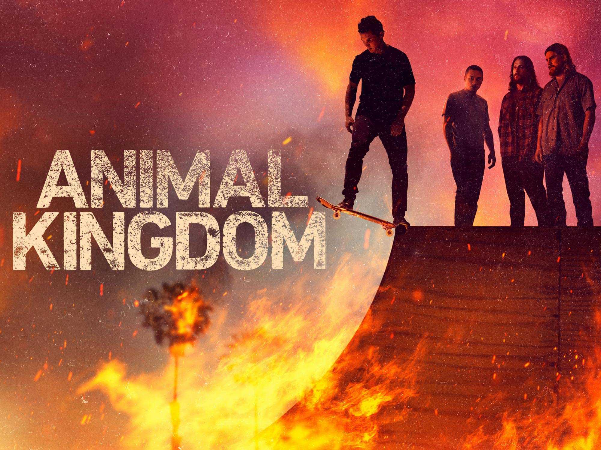 Xem Phim Vương quốc động vật (Phần 6) - Animal Kingdom (Season 6) 2021