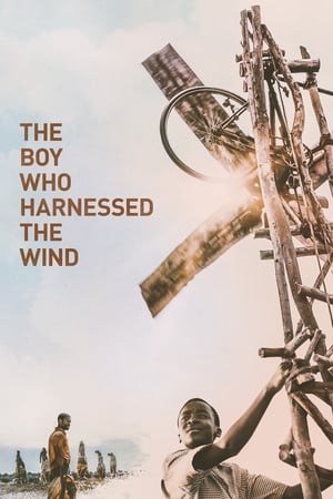 Cậu bé khai thác gió - The boy who harnessed the wind