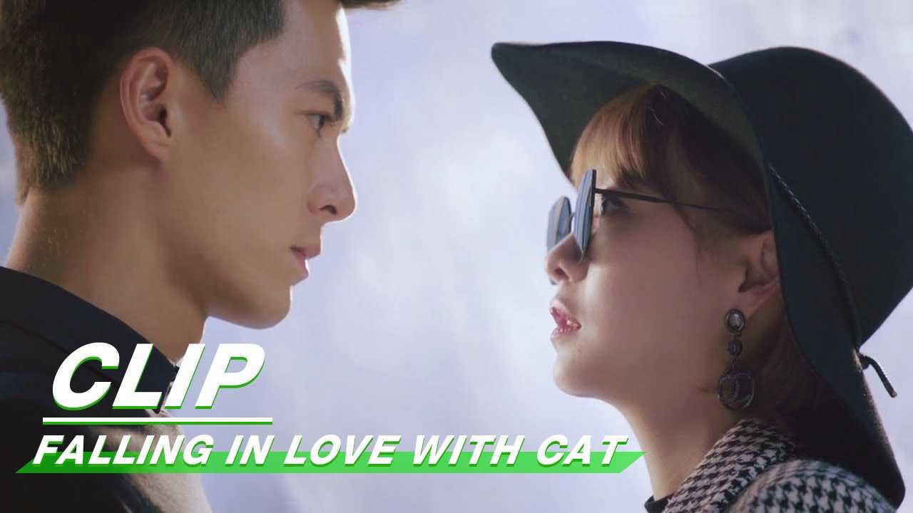 Yêu phải nàng meo tinh - Falling in love with cat