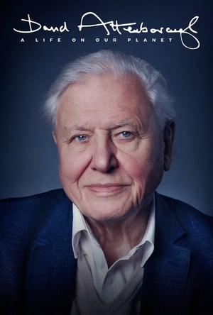  David Attenborough: Một Cuộc Đời Trên Trái Đất 