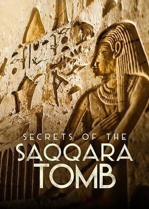  Bí Mật Các Lăng Mộ Saqqara 
